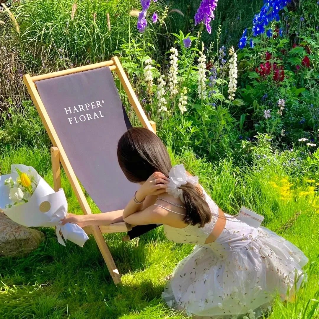 霸道总裁的刁蛮女友